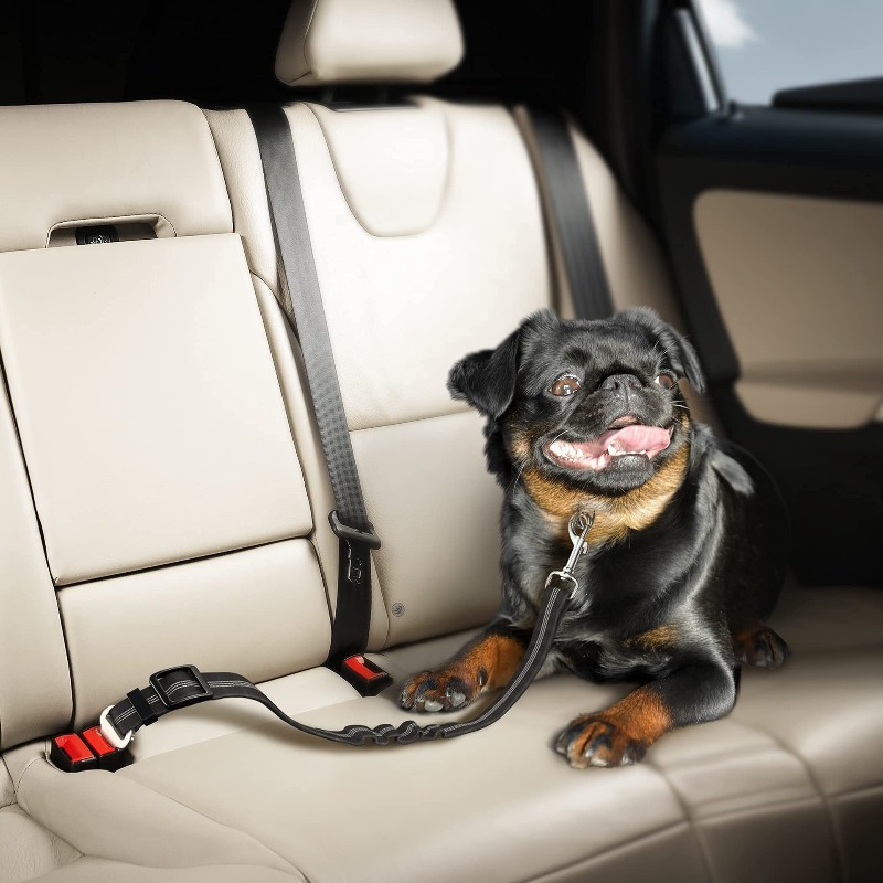 Retractable Dog Car Harness Se - مراجعة Snap Fastener Set وسعره