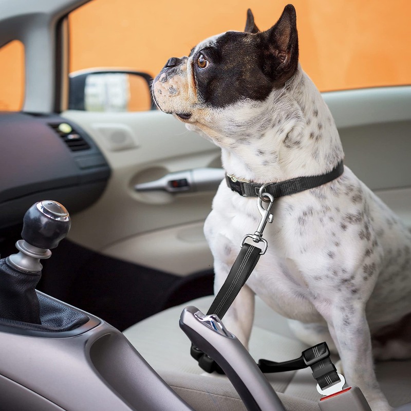 Retractable Dog Car Harness Se - مراجعة Snap Fastener Set وسعره